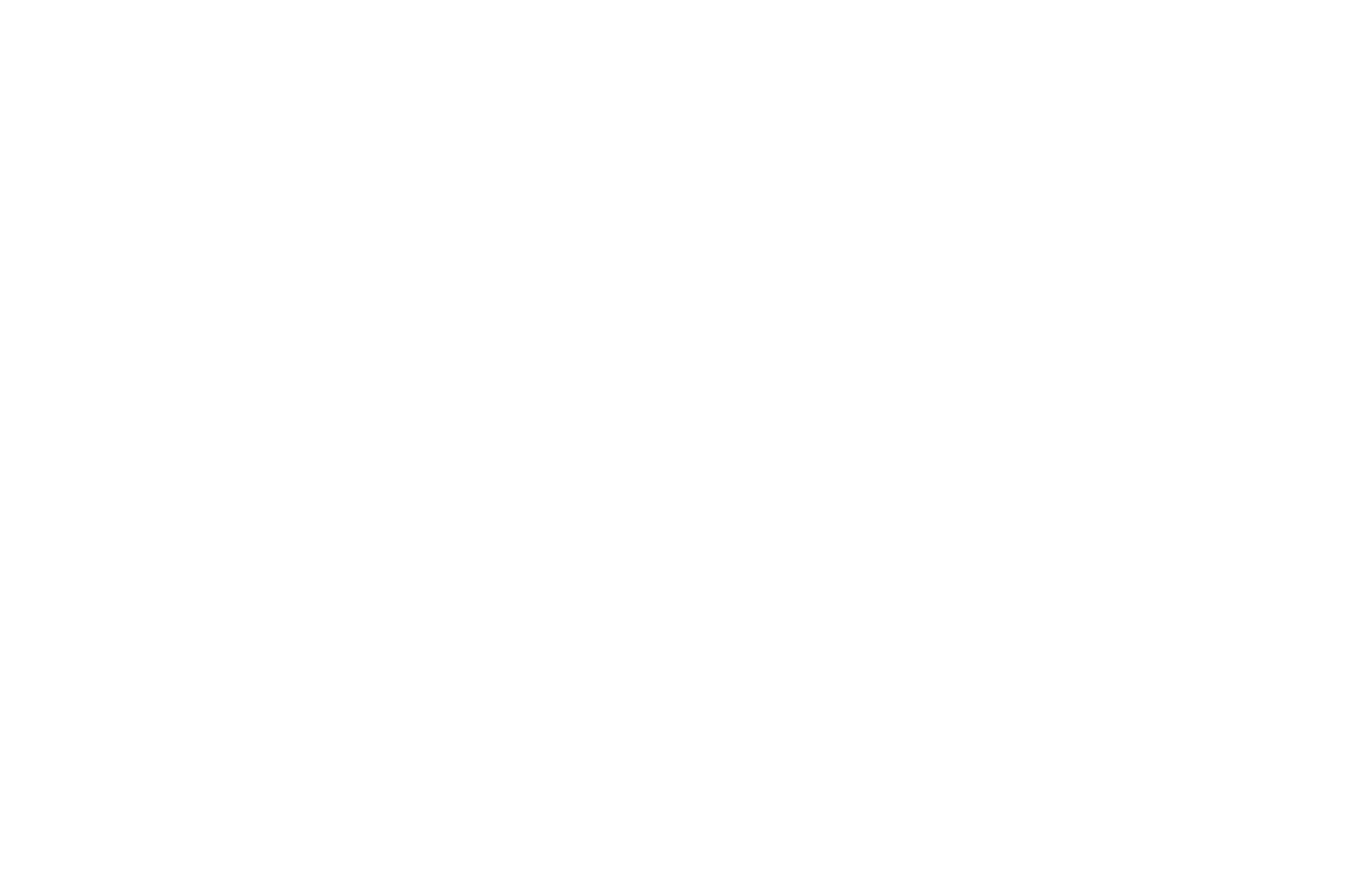 Jetfly